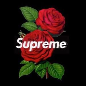 Meet your Posher, Jesus